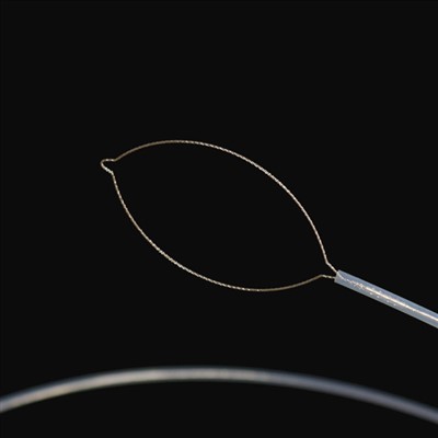 Amaka ya Mubili wa Mubili Uwafuma ku Ford